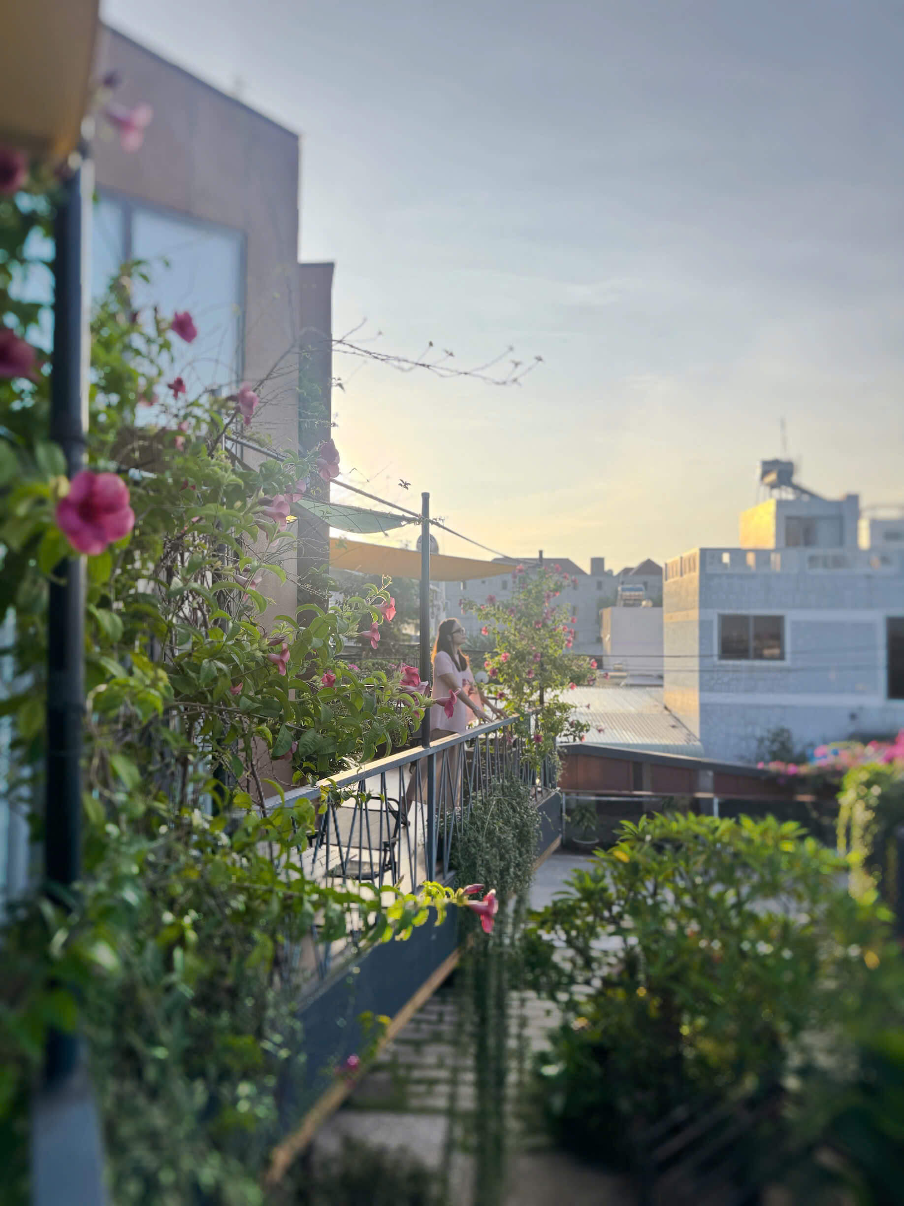 biệt thự vũng tàu gần biển giá rẻ