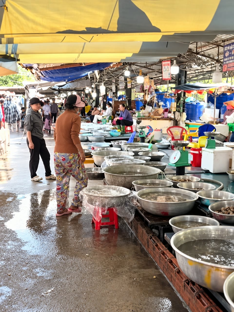 Lối đi và các quầy bày hải sản trong chợ Hồ Tràm